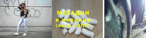 прущие грибы Алзамай