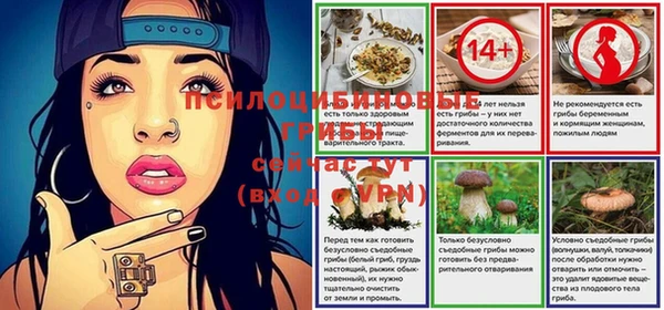 прущие грибы Алзамай