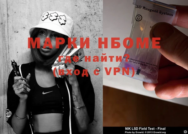 прущие грибы Алзамай