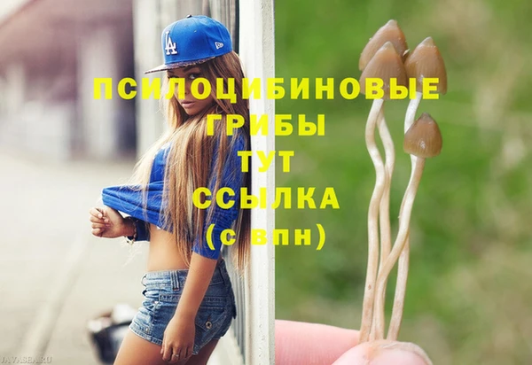 амф Алексин